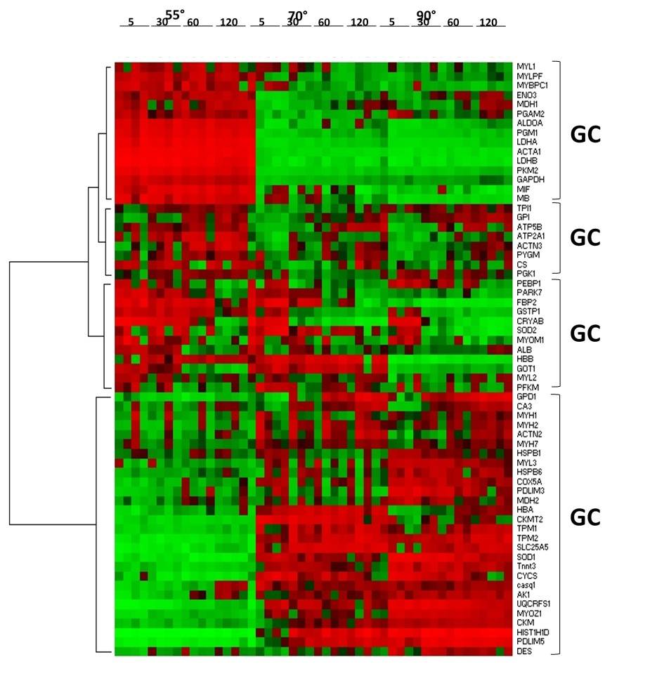 proteins denaturation card